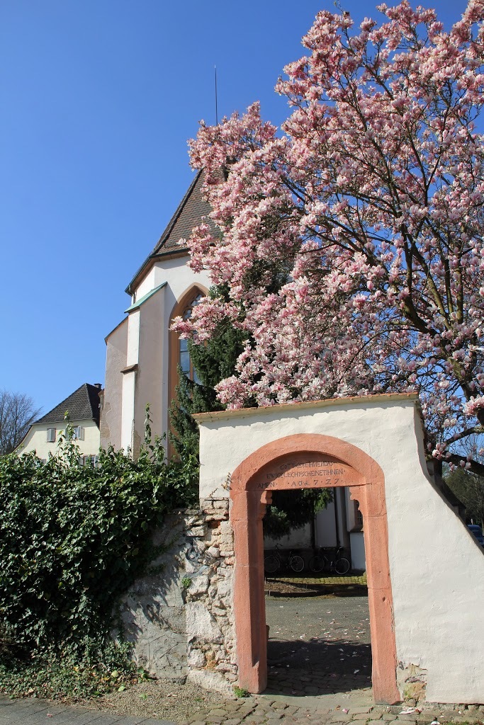 IMG_0599.2015-04-12_075934