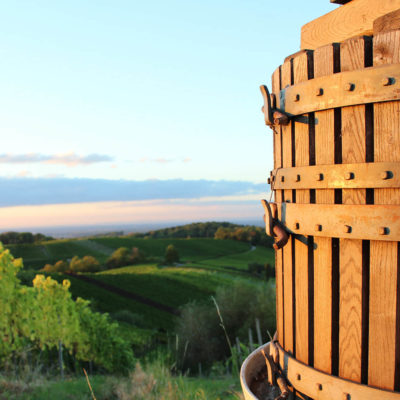 Zell Weierbach Fass Reben