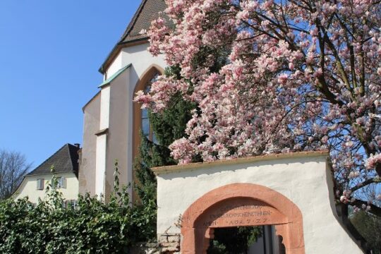 IMG_0599.2015-04-12_075934