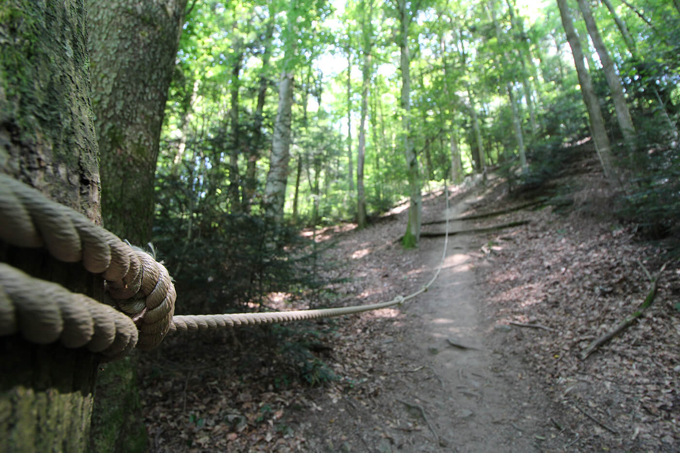 Barfusspark zell weierbach